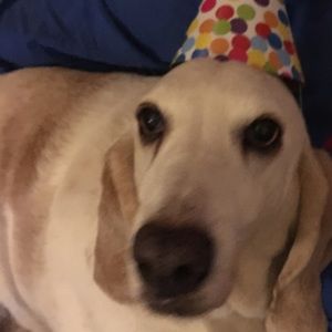 Meet your Posher, Tracey